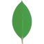 MongoDB